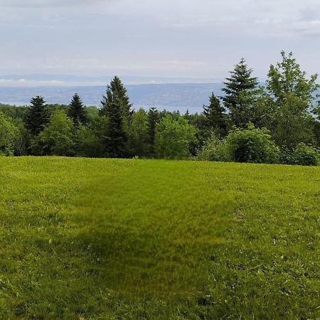 Apartamento Le Panoramic Thollon-les-Memises Exterior foto